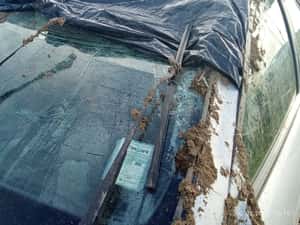 De vânzare Kia Cerato 2008 — miniatura 7