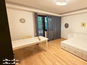 garsoniera Moghioros — miniatura 3