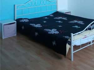 Apartament 3 Camere Decomandat Brancoveanu Hol H — miniatura 5