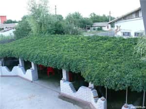 Vand spatiu comercial 300 mp numar niveluri S p+1 — miniatura 5