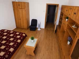 Garsoniera de vanzare , 30 mp , zona Brazda lui Novac — miniatura 3