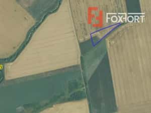 Teren agricol extravilan de vanzare, 2,69 hectare - Jebel Timis — miniatura 2
