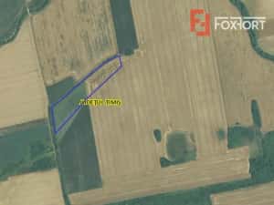 Teren agricol extravilan de vanzare, 2,69 hectare - Jebel Timis — miniatura 3