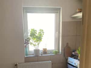 Apartament in vila interbelica, curte, strada linistita Tineretului — miniatura 6