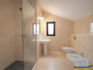 In apreciata prezentare, pe calitativ certificat, Harman, Brasov — miniatura 6