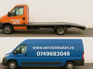 Transport Auto mutari platforma autoplatforma — miniatura 3