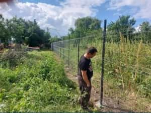 Vând garduri si porți din plasa bordurată — miniatura 2