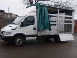 Transport marfa,debarasari bunuri ,mobila mat cont etc — miniatura 3