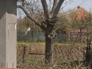 Casa Ocna Mures 90450 euro — miniatura 3