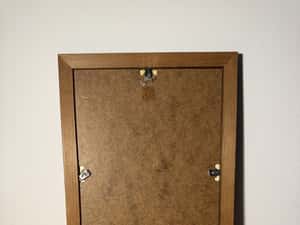 Un print si doamna lui Tablou rar indian secolul 19-20 — miniatura 8