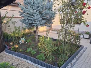 Casa Centru Civic Cumpăna — miniatura 6