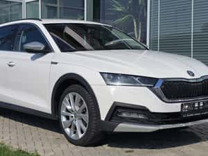 Skoda Octavia Scout Automată 150 HP Diesel — miniatura 3