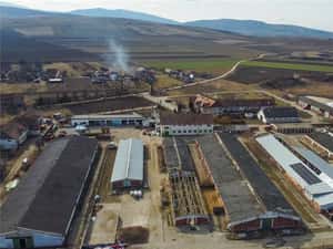 FILM! Complex agrozootehnic cu traditie, echipat + pretios potential multiplu — miniatura 5