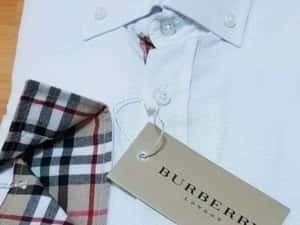 Camasi barbati bumbac,mânecă lunga,logo brodat,Italia,marimi S M L XL 2XL — miniatura 9