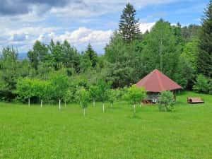 Teren intravilan in Sacele (Brasov), 2000 mp cu livada, foișor, apa, curent