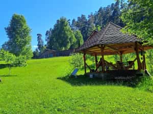 Teren intravilan in Sacele (Brasov), 2000 mp cu livada, foișor, apa, curent — miniatura 3