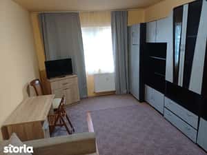 Apartament 1 cameră mobilat și utilat, Vlaicu - Fortuna, parter — miniatura 6