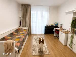 Apartament 3 Camere | Obor | Metrou | Gradina Proprie — miniatura 5