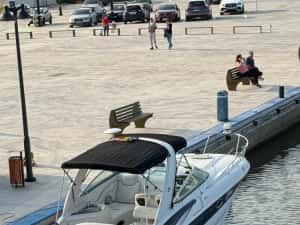 Crownline 270 CR — miniatura 3