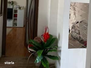 Apartament 4 camere de vanzare Rosiori de vede Dunarii — miniatura 4
