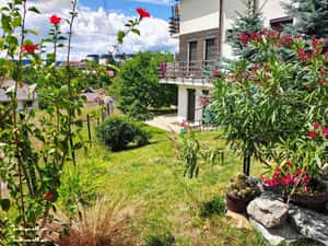 Apartament la casa cu intrare separată cu parcare — miniatura 2
