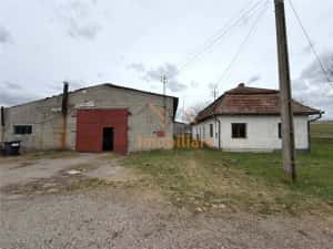 HALE INDUSTRIALE | CLADIRE BIROURI | TEREN 7000 MP | GHEGHIE BIHOR — miniatura 2