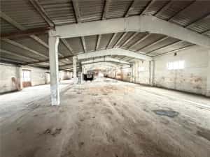 HALE INDUSTRIALE | CLADIRE BIROURI | TEREN 7000 MP | GHEGHIE BIHOR — miniatura 3