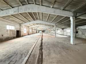 HALE INDUSTRIALE | CLADIRE BIROURI | TEREN 7000 MP | GHEGHIE BIHOR — miniatura 7