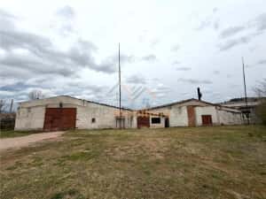 HALE INDUSTRIALE | CLADIRE BIROURI | TEREN 7000 MP | GHEGHIE BIHOR — miniatura 9