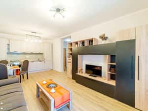 Apartament 2 camere  Central de inchiriat — miniatura 2