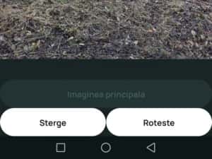 Servicii de Defrisare/Împrejmuire teren/tocator crengi — miniatura 3
