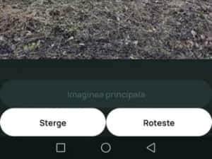 Servicii de Defrisare/Împrejmuire teren/tocator crengi — miniatura 9