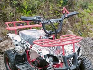 Mini Atv Quad adus din Germania pentru copii cu motor pe benzină 50cc — miniatura 4