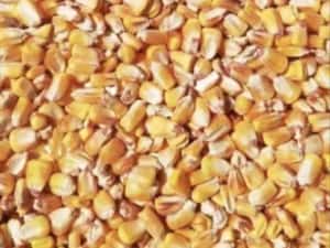 Vand Malai 1 leu — miniatura 2