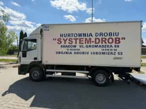 Iveco eurocargo frigorific si lift — miniatura 3