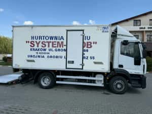 Iveco eurocargo frigorific si lift — miniatura 5