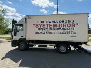 Iveco eurocargo frigorific si lift — miniatura 9