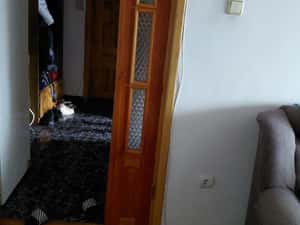 De inchiriat apartament 3 camere Braila, soseaua Buzaului — miniatura 3