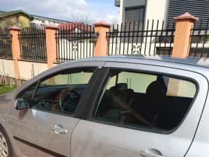 Peugeot 307 Hatchback 1.4 hdi-132.238 Km-Utilizator unic de la momentul achiziției — miniatura 6