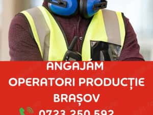 Angajam Operator in Productie