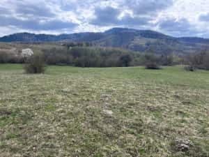 Teren de vânzare — miniatura 1