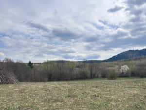 Teren de vânzare — miniatura 2