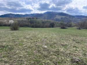 Teren de vânzare — miniatura 3