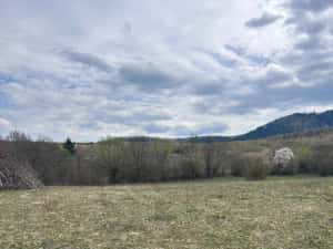 Teren de vânzare — miniatura 4