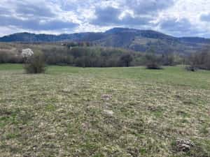 Teren de vânzare — miniatura 5