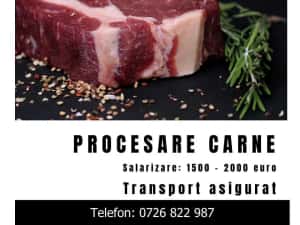 procesare/ transport asigurat — miniatura 2