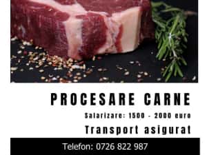 procesare/ transport asigurat — miniatura 3