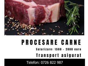 procesare/ transport asigurat — miniatura 4