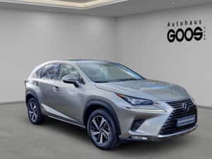 Vânzare Lexus NX 300 Hibrid, 2019, 83.375 km — miniatura 7