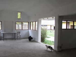 Gospodarie-4 cladiri-teren 2900mp-zona Vetel — miniatura 6